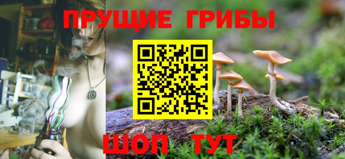APVP Балтийск