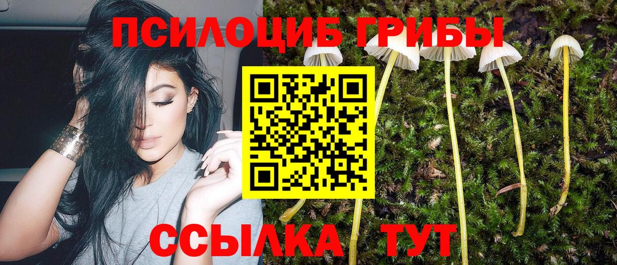 Галлюциногенные грибы Psilocybe  где можно купить   Балтийск  Псилоцибиновые грибы прущие грибы  Вход с VPN 