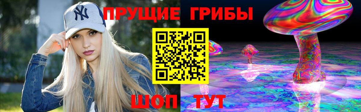 Псилоцибиновые грибы прущие грибы Балтийск